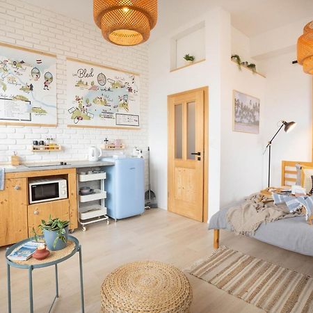 Funky Soul Studio Zirovnica Εξωτερικό φωτογραφία